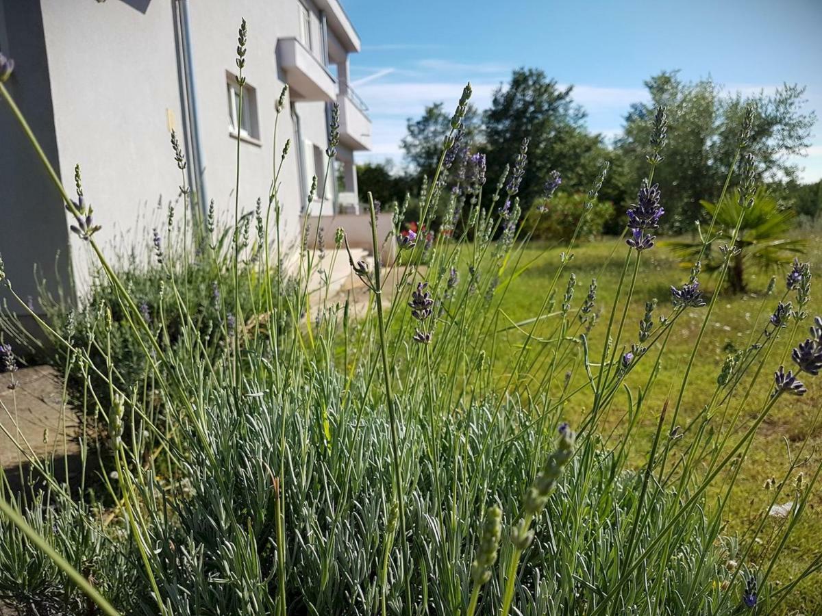 Apartment Vitalia 2+2 Пореч Екстериор снимка